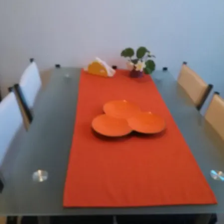 Apartment Oleandro